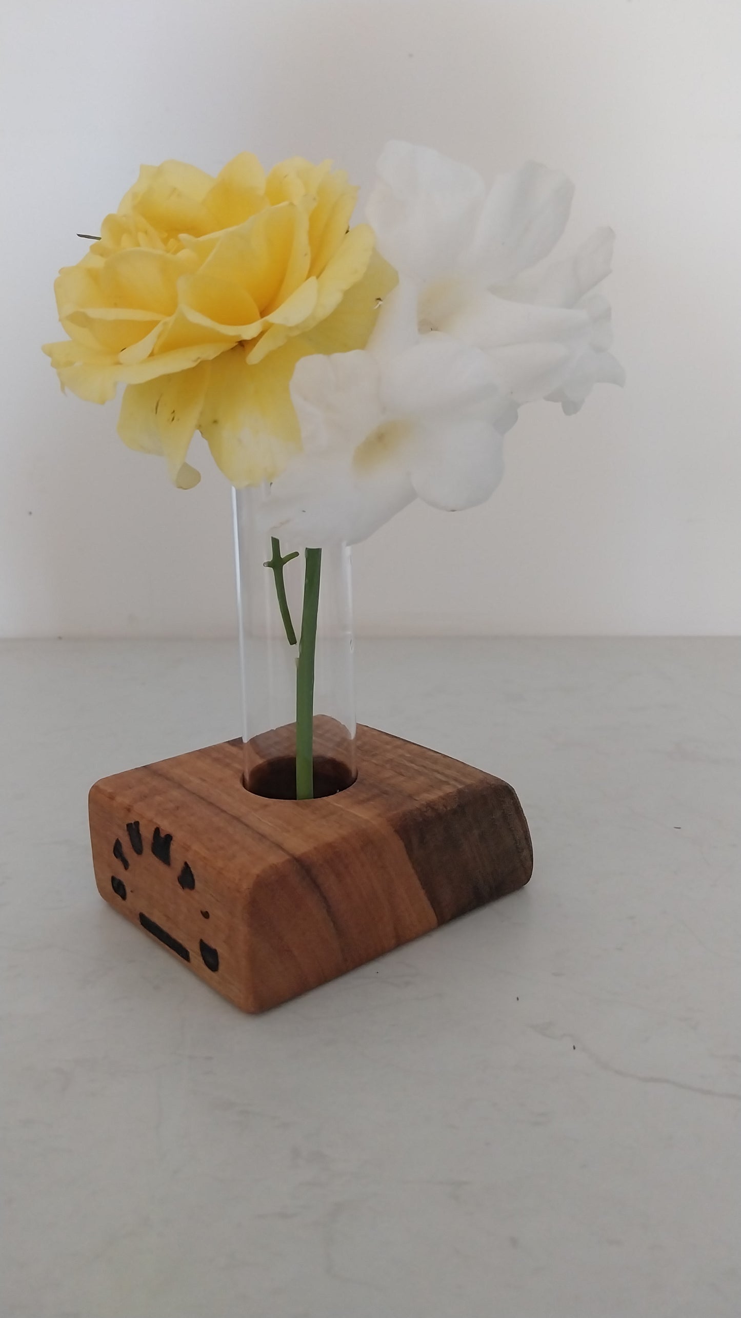 Bud Vase / Plant Propagation 1 tube - Marri