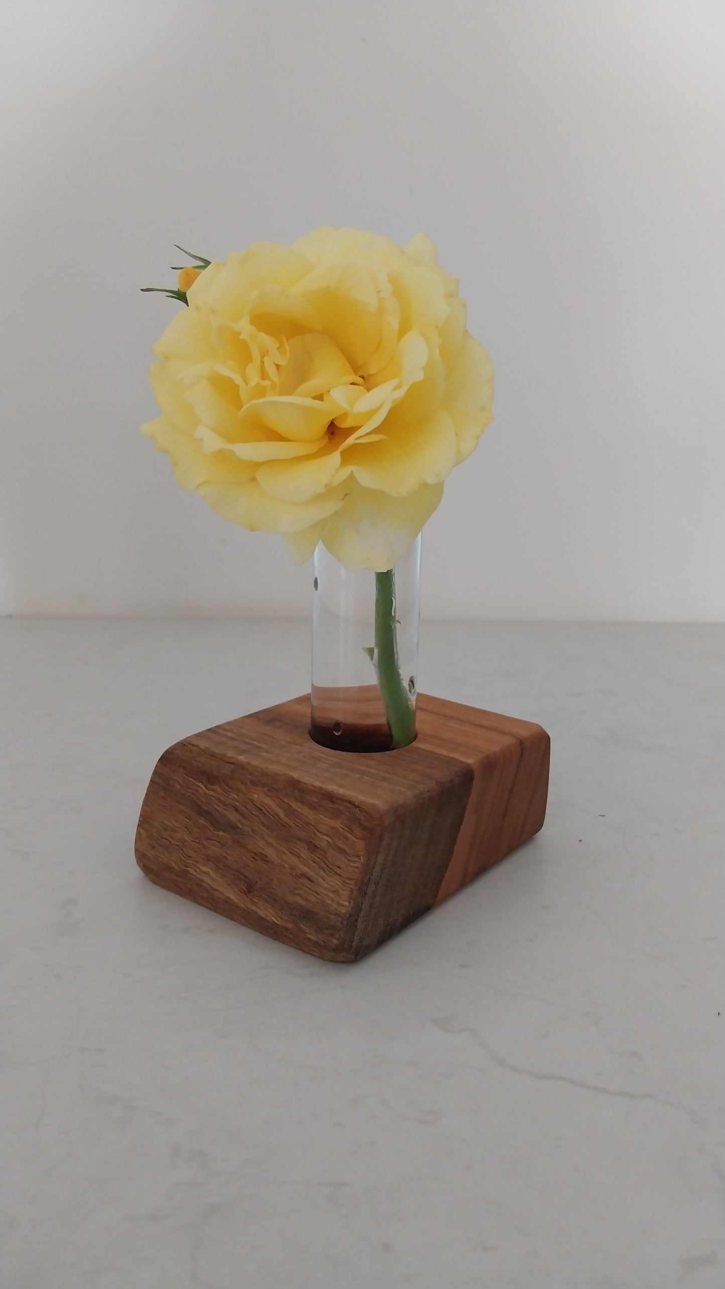 Bud Vase / Plant Propagation 1 tube - Marri