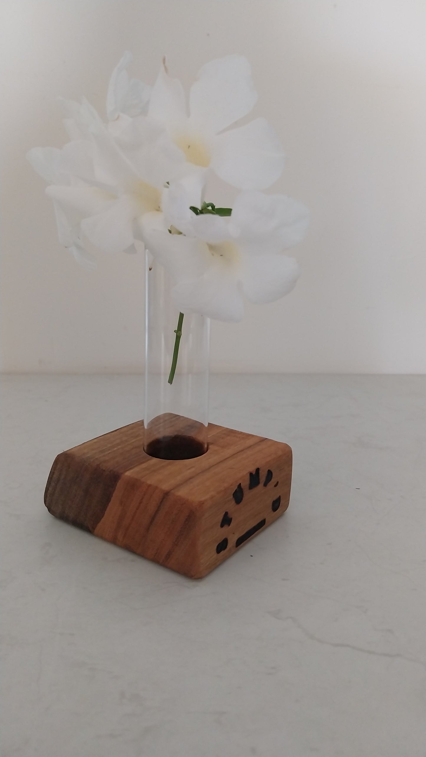 Bud Vase / Plant Propagation 1 tube - Marri