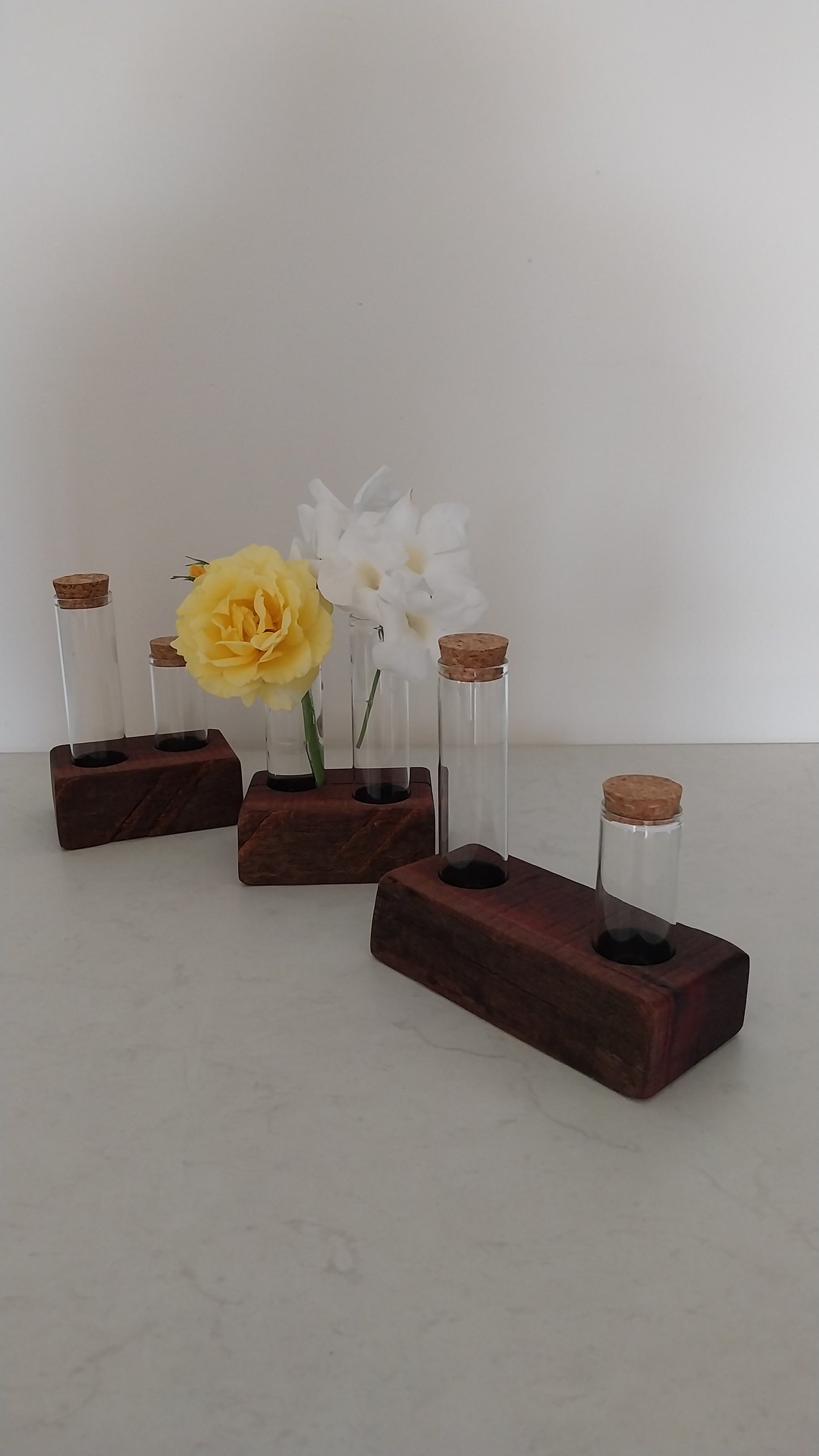 Bud Vase / Plant Propagation 2 tubes - Jarrah